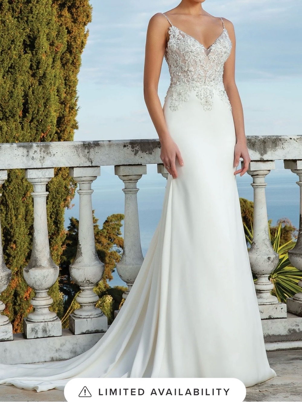 Justin Alexander Beaded Lace Ivory Wedding Dress | Size: 12 | Style: 88119